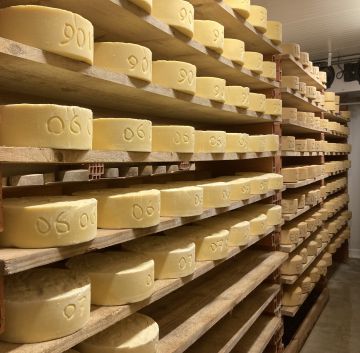 fromages en cave d'affinage