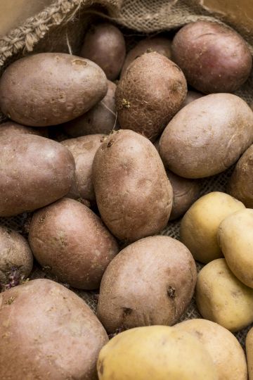 Pommes de terre