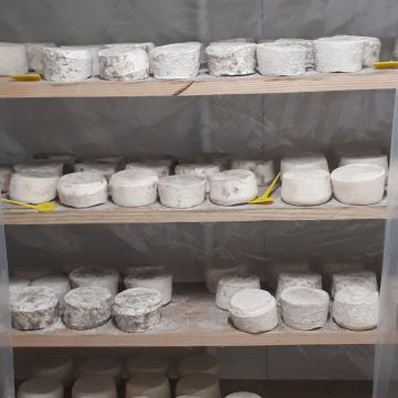 Fromage