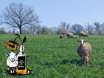 La ferme de Bras