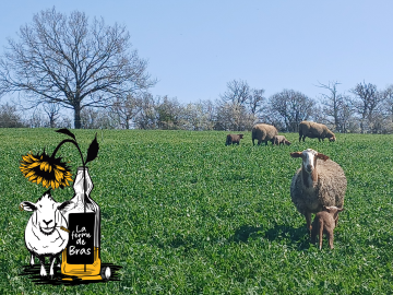La ferme de Bras